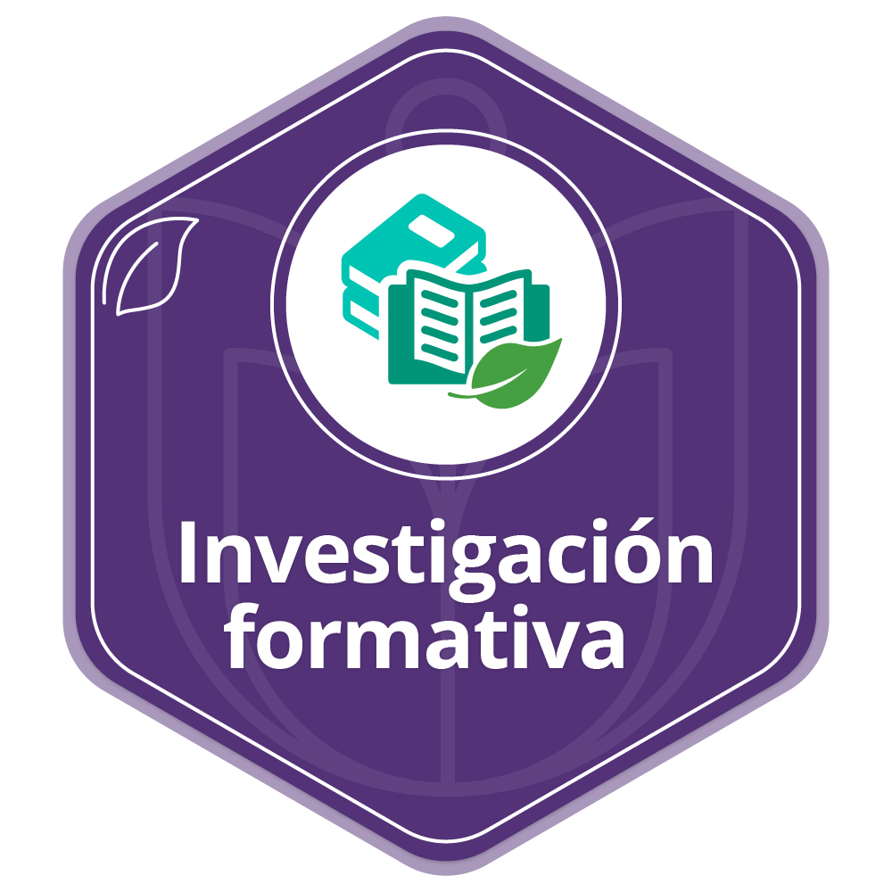 Investigación Formativa